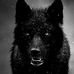 Shane Eisenhauer - Facebook
