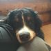 Shane Elder - Facebook