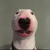 shaneelder - @fearless671 - TikTok