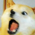 Shane_Eldridge - @possibly_a_biploar_doge - Instagram