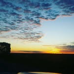 Shane eldridge - @shane_eldridge - Instagram