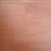 Shane Ely - @shaneely121 - TikTok