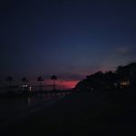 Shane Elyada - @shane.elyada - Instagram
