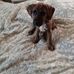 Shane Embry - Facebook