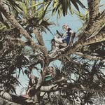 Shane Emmons - @shaneemmons_landscape_designs_ - Instagram