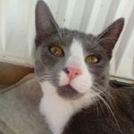 Shane Ernstberger - @shaneernstberger - Instagram