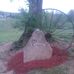 Shane Ervin - Facebook