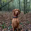 Shaun Etherington - @shaun_100204 - TikTok