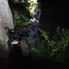 Shane Beddingfield - @shanebeddingfield - TikTok