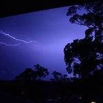 Shane Field - @field.shane - Instagram