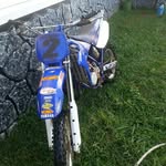Shane fields - @shanefields2000 - Instagram