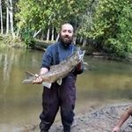 Shane Franks - @shanefranks1 - Instagram