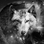 shane franks - @bitch_slayings08 - Instagram