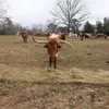 Shane Smeltzer746 - @frederickshane - TikTok