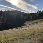 Shane Freund - @shanefreund1 - Instagram