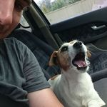 Shane Freund - @shane.freund.5 - Instagram
