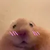 Batman - @shane.friend - TikTok