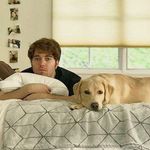 shane and friend - @shaneandfriend - Instagram