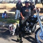 shane galea - @galeashane - Instagram