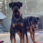 Shane Gardner - @shane_gardner78 - Instagram