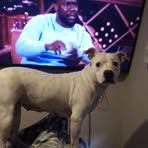 Shane Gardner - Facebook