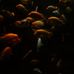 Shane Garman - Facebook