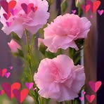 Shane Gaston - Facebook