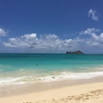 Shane Gault - @gaultshane - Instagram