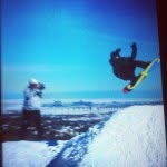 Shane Gibbons - @shanegibbons - Instagram