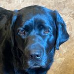 Shane Gillen - @shane_gillen - Instagram