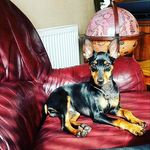 Shane Gillespie - @shane_gillespie10 - Instagram