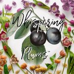 Shane Gillespie - @whisperingplums - Instagram