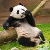 Shane Gooden - @shane.gooden - TikTok