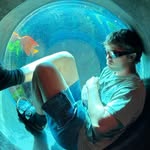 Shane Gray - @shanegraystunts - Instagram