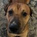 Shane Griffey - Facebook