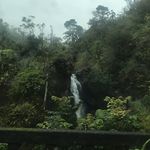 Shane Groff - @groff.shane - Instagram