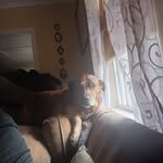 Shane Guest - @guestshane - Instagram