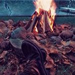 Shane Hackett - @shane_hacks - Instagram