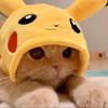 shanehackett1511 - @shanehackett1511 - TikTok