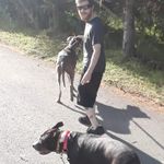 Shane Hammer - @shanexhammer - Instagram