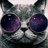 The Guy with Glasses - @shane.handy - TikTok