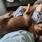 Shane Haney - @seamus_mchaney - Instagram