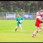 Shane Harkin - @shaneharkin7 - Instagram