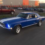 Shane Harney - @shane.harney1 - Instagram