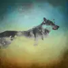 shaneharney - @shaneharney2 - TikTok