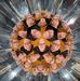 Shane Harrod - Facebook