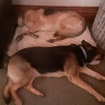 Shane Hatton - @shane.hatton52 - Instagram