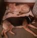 Shane Hatton - Facebook