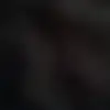 shane - @shaneheadley21 - TikTok