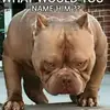 shaneheald892 - @shaneheald892 - TikTok